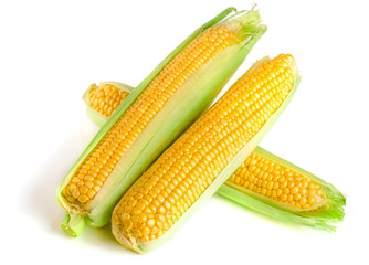 ear of corn isolated on a white background
