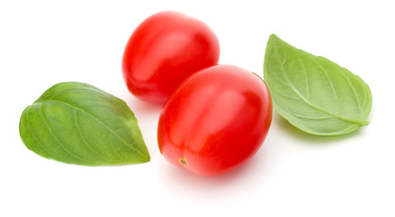 fresh plum tomato with basil leaf isolated on white background