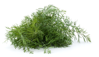 fresh green dill herb leaves bunch isolated on white background cutout
