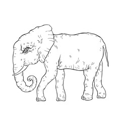 Elephant. Vector illustration