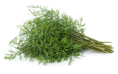 fresh green dill herb leaves bunch isolated on white background cutout