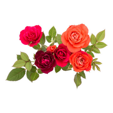 colorful rose flower bouquet with green leaves isolated on white background cutout