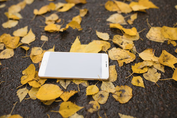 Naklejka na ściany i meble Unharmed lost smartphone on a ground