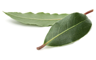 Aromatic bay leaves