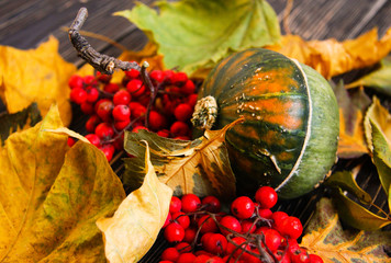 Wooden table with dry leaves and ashberry