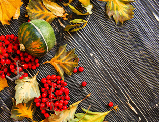 Wooden backgrounds with dry leaves and ashberry and copy space