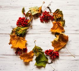 Wooden backgrounds with dry leaves and ashberry and copy space