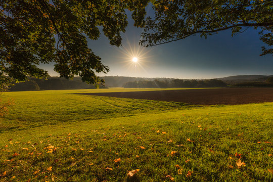 Schwalbach am Taunus Feldweg im Herbst