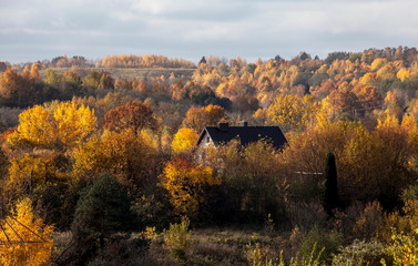 Homestead in the fall