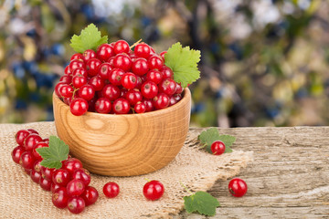 Red currant berries in wooden bowl on wooden table with blurry garden background