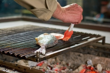 Chef cooking dorado grill. Grilling dorado fish on iron grill.