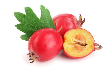 Hawthorn berry with leaf isolated on white background close-up