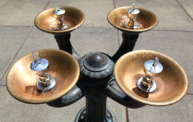 The famous Benson Bubbler water fountains in Portland, Oregon