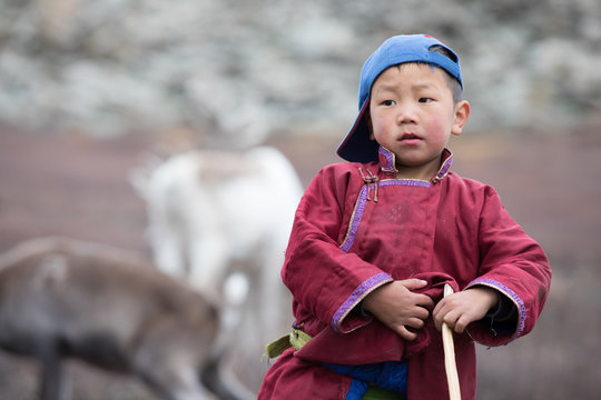 Little tsaatan boy posing with his family's reindeer.