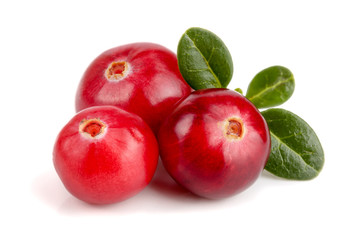 Cranberry with leaf isolated on white background closeup macro