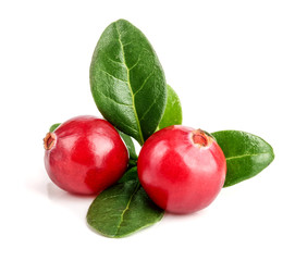 Cranberry with leaf isolated on white background closeup macro