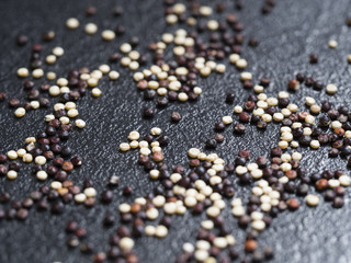 Graines de quinoa : rouge et blanc : Macro