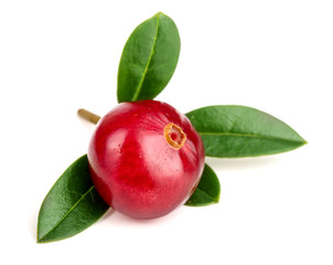 Cranberry with leaf isolated on white background closeup macro