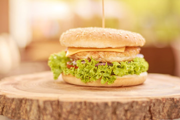 Delicious chicken burger with vegetables. Fresh appetizing cheesburger on natural wood. Classic american food.