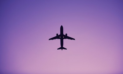 Naklejka premium The Airplane on the Sky