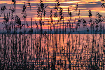 tramonto sul lago di garda, castelnuovo del garda