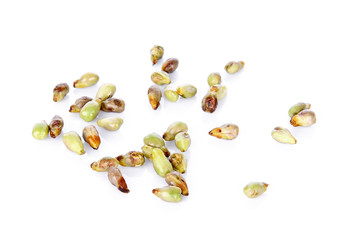 grape Seed isolated on white background