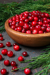 Juicy ripe berry cranberries in a wooden bowl on a dark background with copy space