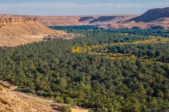 Morocco Erfoud Tafilalet oasis