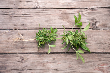 cannabis plant with root close up on wooden floor