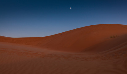 Fototapeta na wymiar Moon over the desert