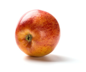 bottom of a fresh apple on whtie background