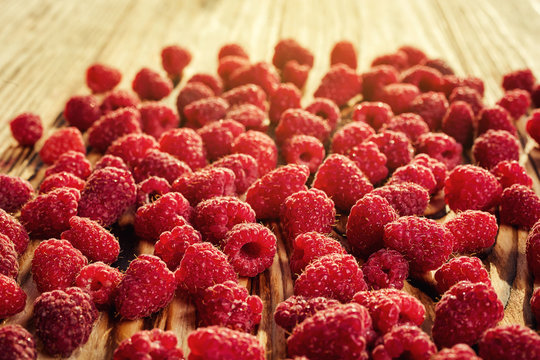 growing raspberries,raspberries background closeup photo,high resolution product,Delicious first class organic fruit,Raspberry as background