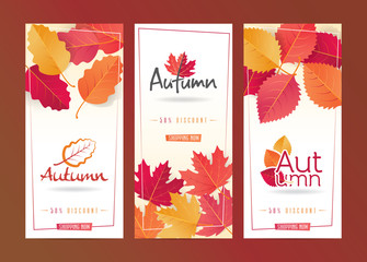 Autumn Seasonal Discount Card Set
