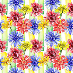 Wildflower gerbera flower pattern in a watercolor style. Full name of the plant: gerbera. Aquarelle wild flower for background, texture, wrapper pattern, frame or border.