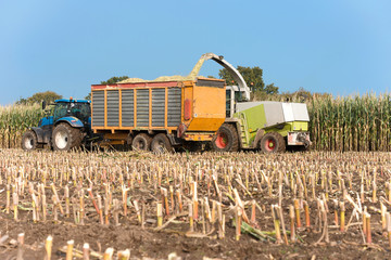 Agricultural machinery by the corn harvest - 1015