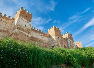 Obraz premium Vista de la Fachada del Castillo de Burgalimar en la Localidad de Baños de la Encina, España