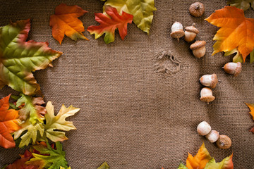 Fall Background