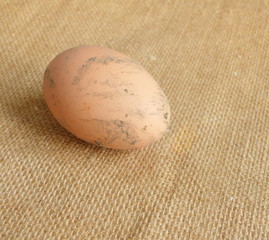 œuf de poule bio,sale,isolé,en gros plan