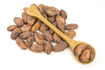 cocoa beans with shells still intact