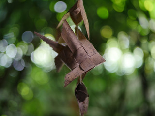 The fish model made from coconut leaf