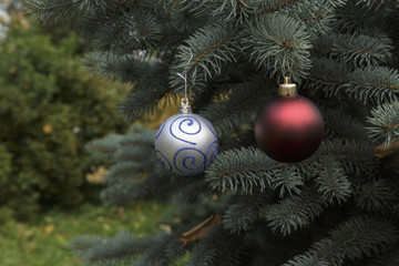 Fototapeta na wymiar Silver and Red Crystal balls on a Christmas tree.