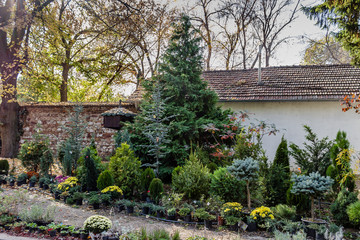 Green garden with birdhouse