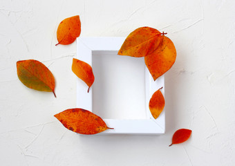 autumn mock up with white frame, multicolored leaves
