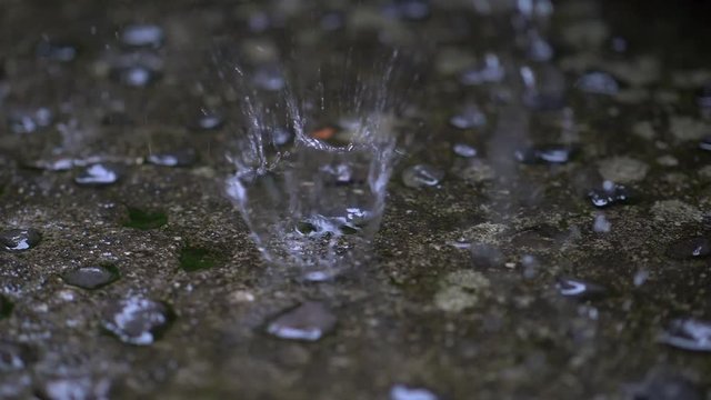 Raindrops splash during rain. Slow motion shot