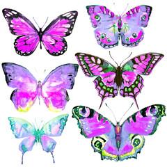Obraz na płótnie Canvas butterfly,watercolor,on a white