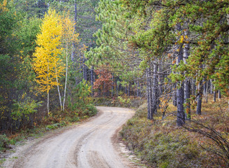 Fototapeta premium Winding Road