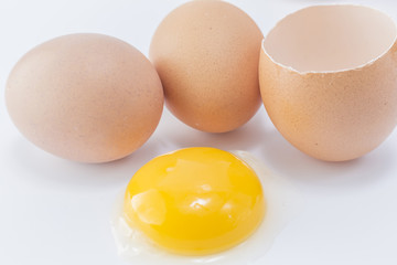 Egg