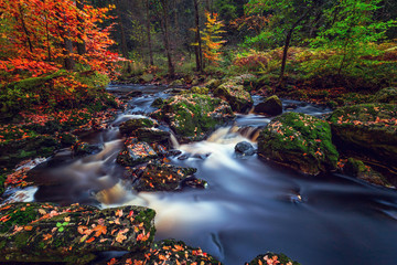 The Hoegne River in the Belgian Ardennes in autumn, Belgium