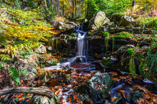 Small waterfall in the Hoegne Valley in autumn, Belgian Ardennes, Belgium