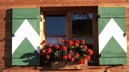 Fenster mit grün-weißen Läden, Geranien, Holzwand, Allgäu